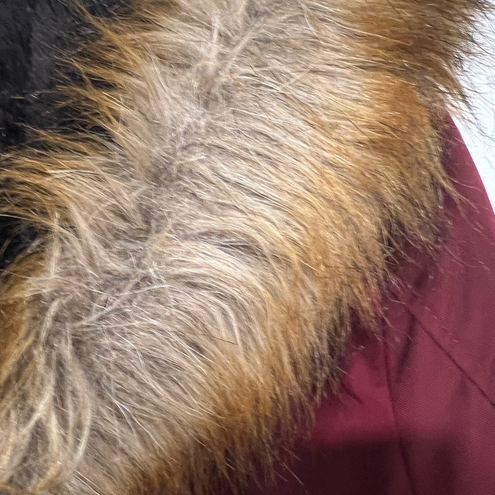 YMI burgundy red classic winter jacket w/ golden accents and fur detailed hoodie - Picture 10 of 12